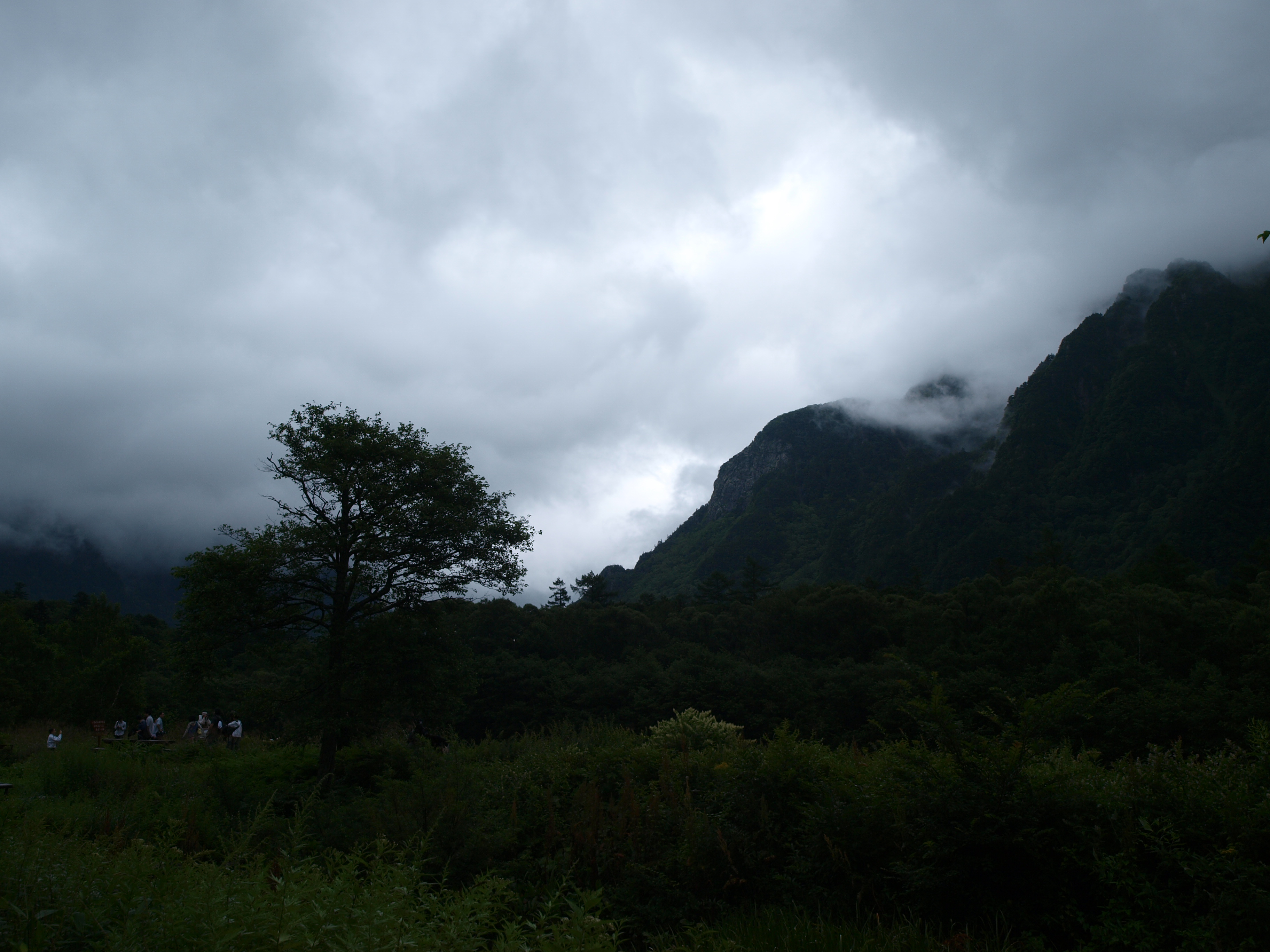 P8134481.JPG