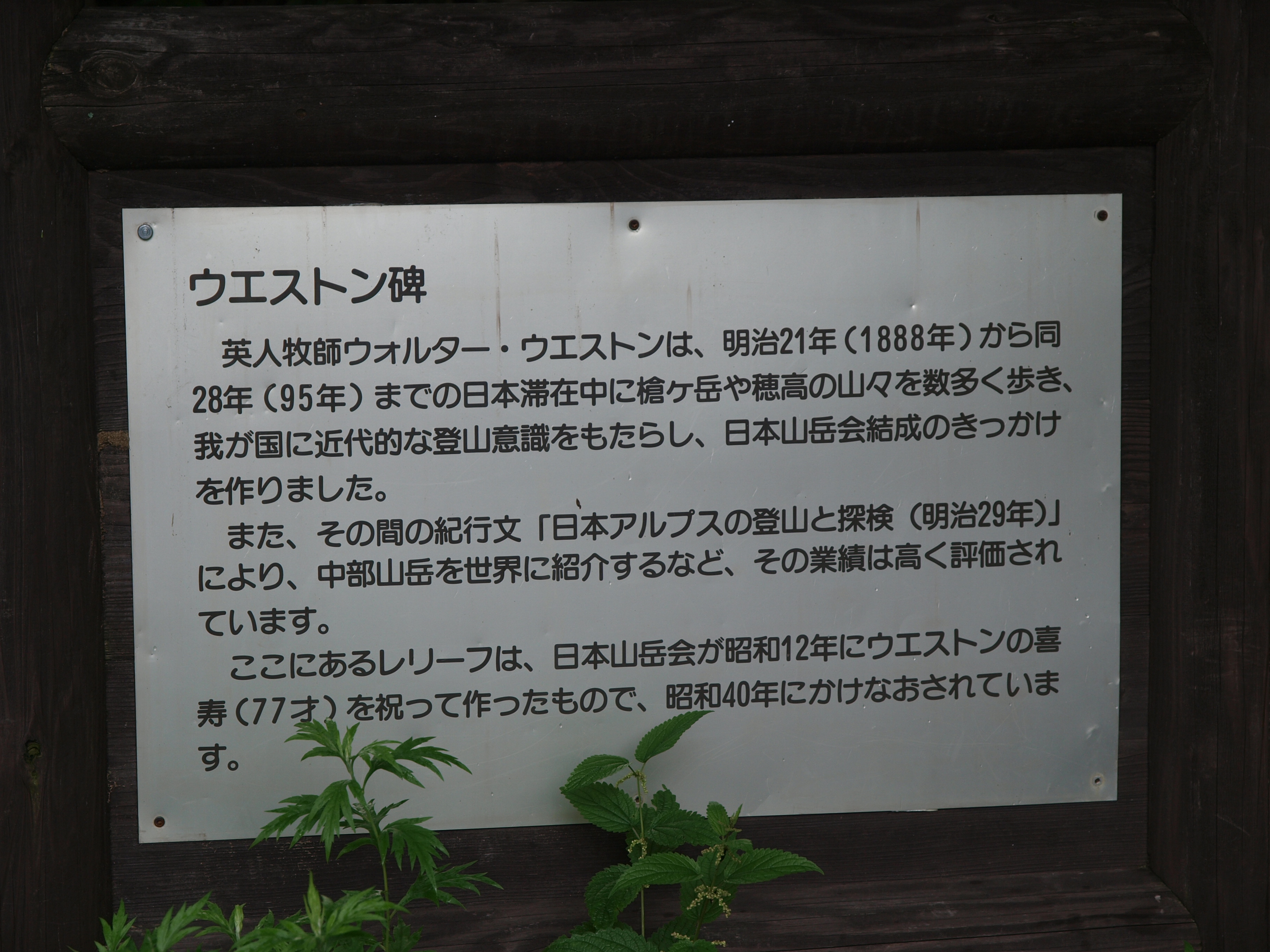 P8134490.JPG