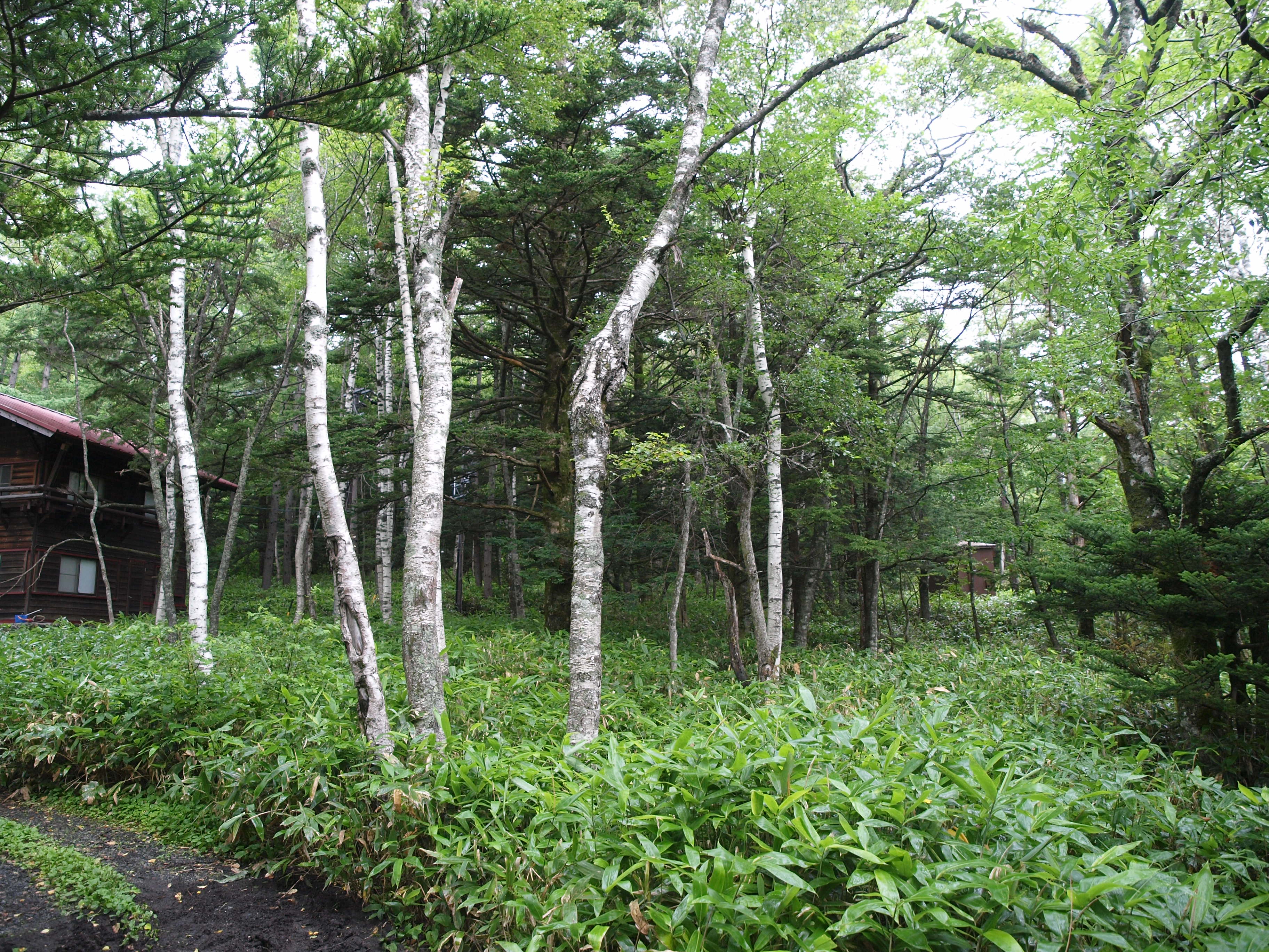 P8134491.JPG