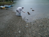 img0012.jpg
