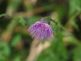 img0041.jpg