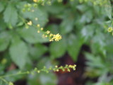 img0043.jpg
