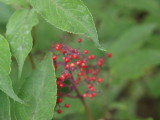 img0044.jpg