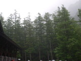 img0062.jpg