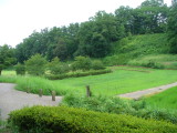 img0018.jpg