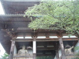 img0029.jpg