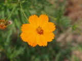 img0011.jpg