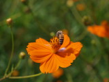 img0012.jpg