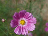 img0016.jpg
