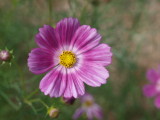 img0017.jpg