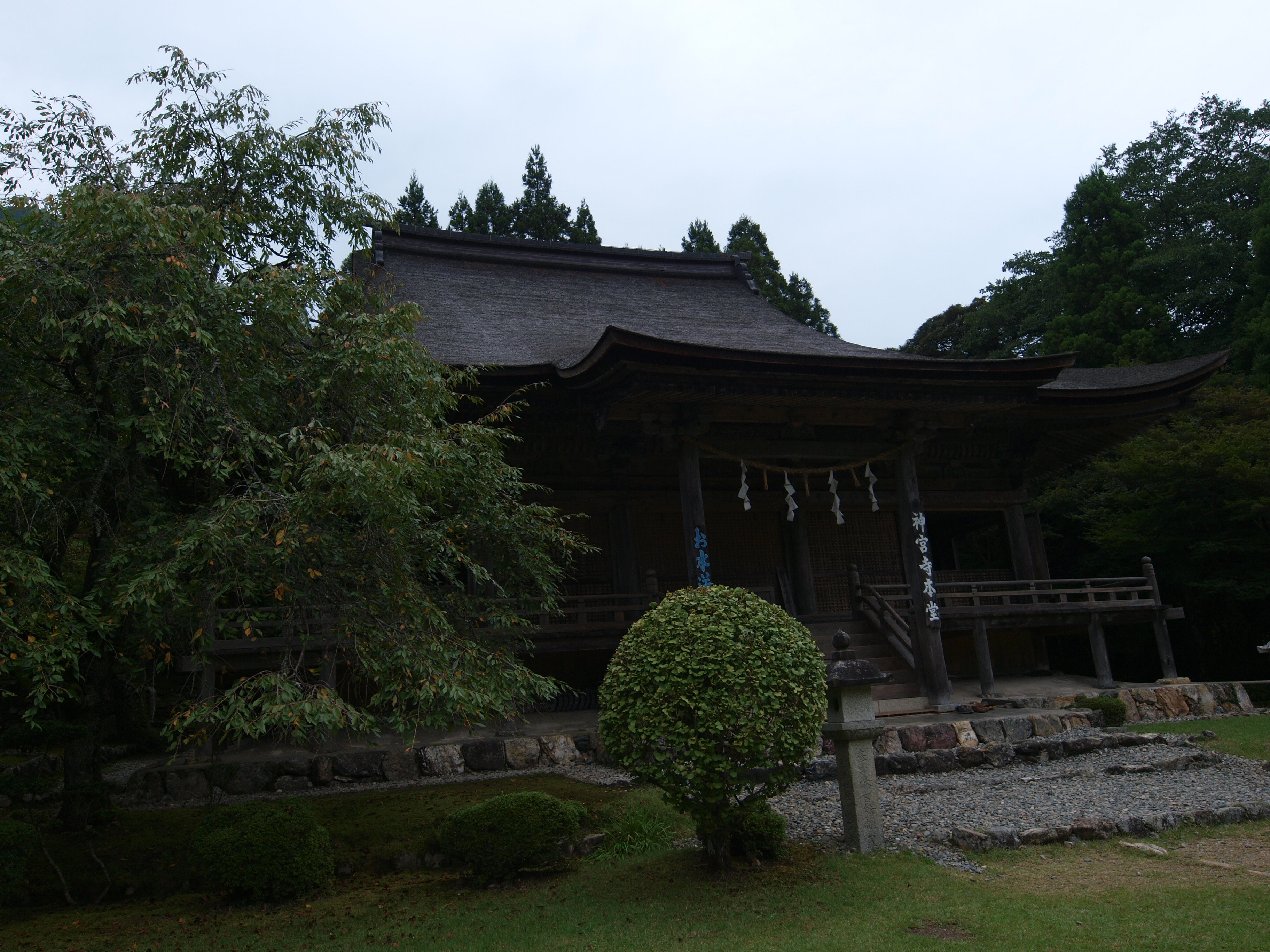 P9224698.JPG
