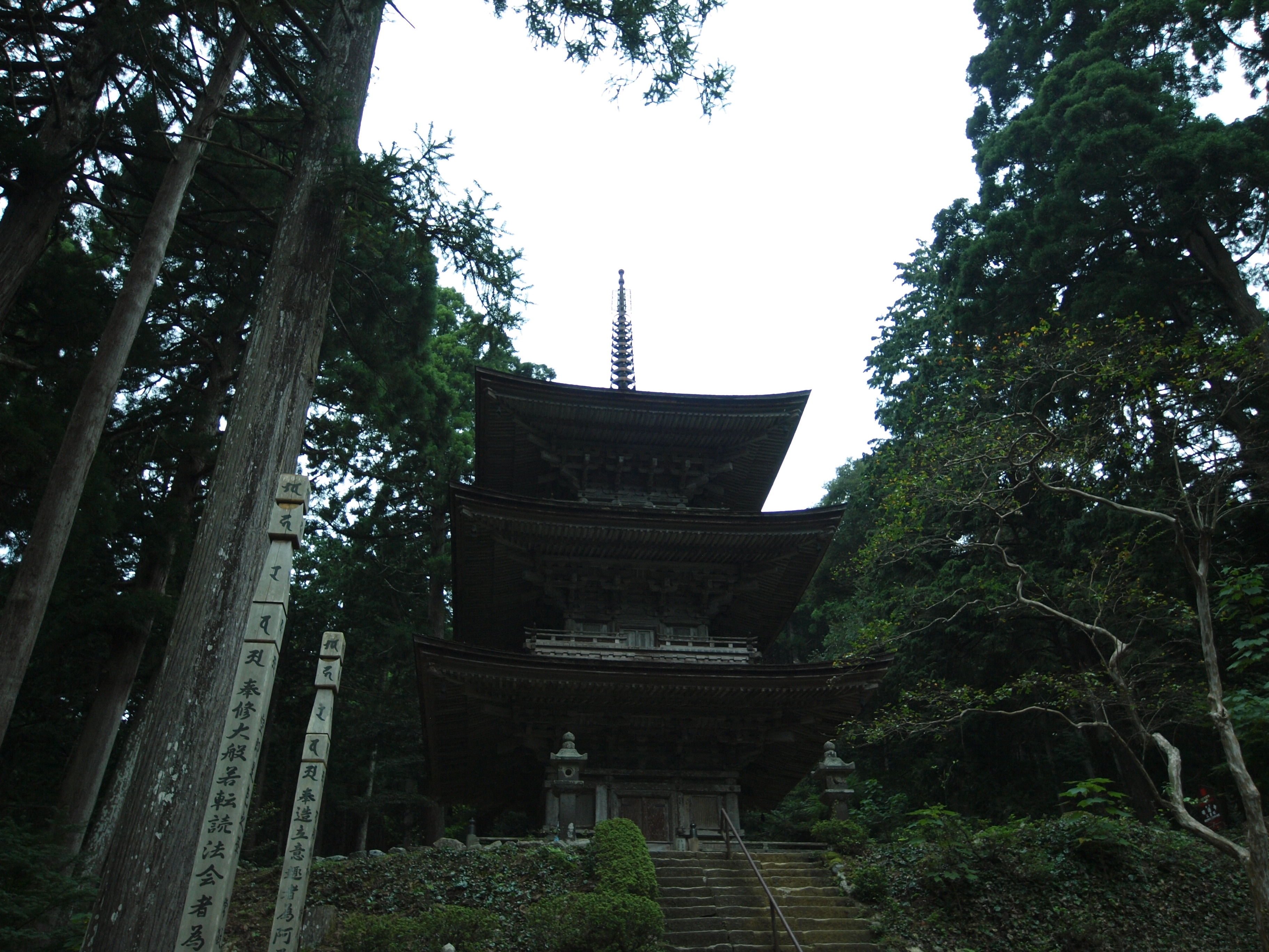 P9224711.JPG