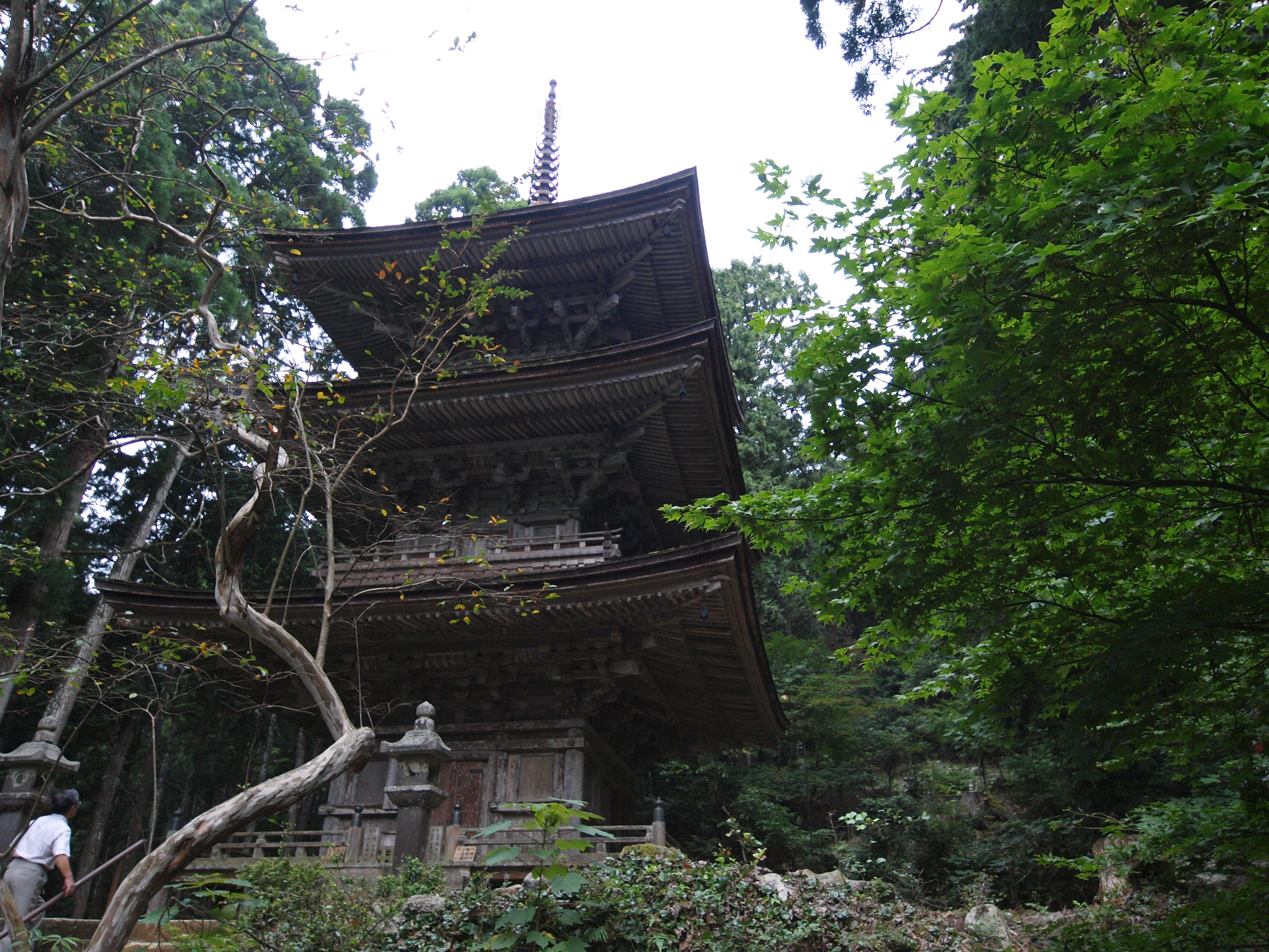 P9224712.JPG
