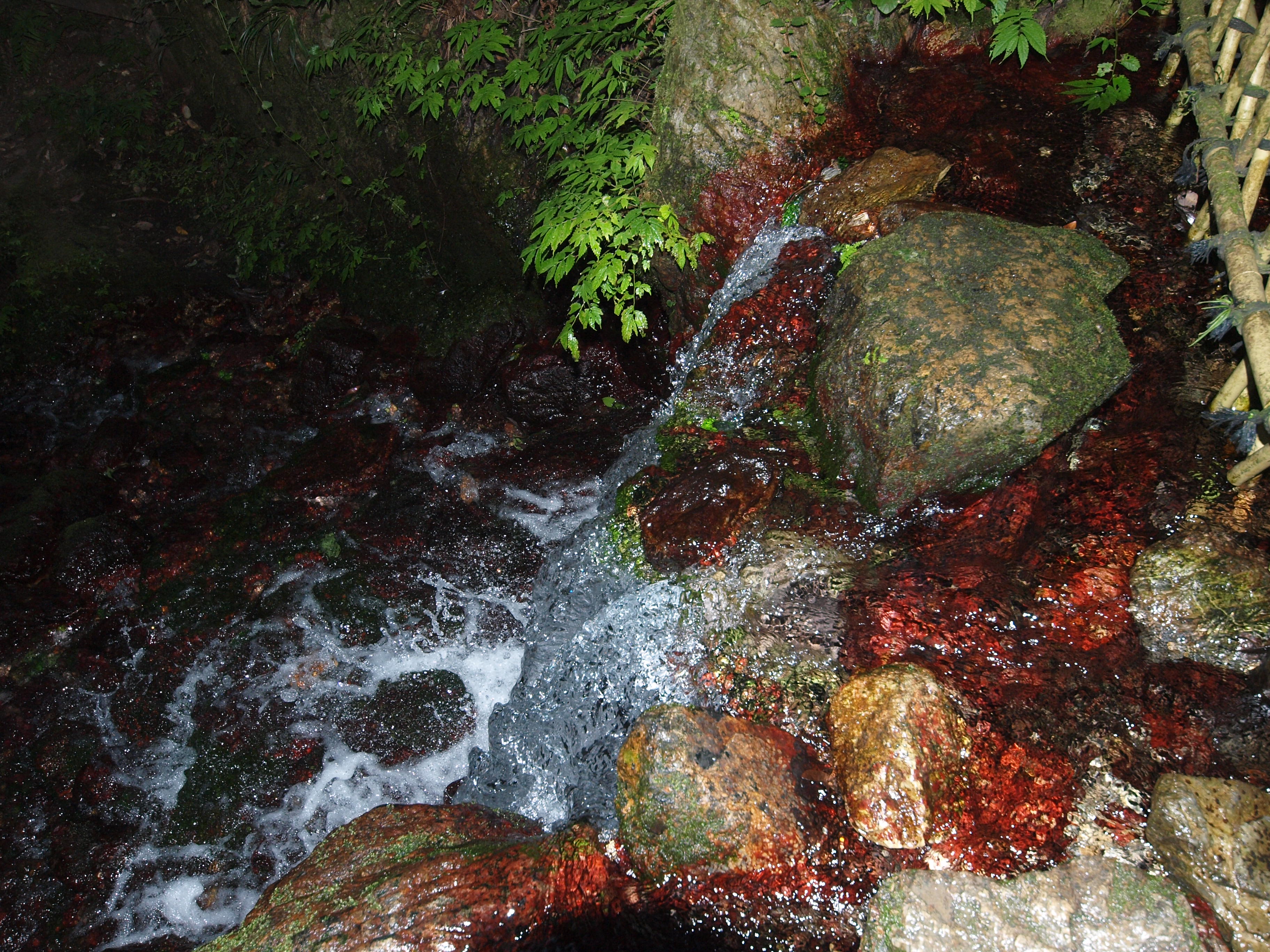 P9224726.JPG