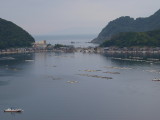 img0009.jpg