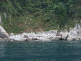 img0054.jpg