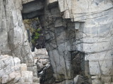 img0062.jpg