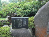 img0111.jpg