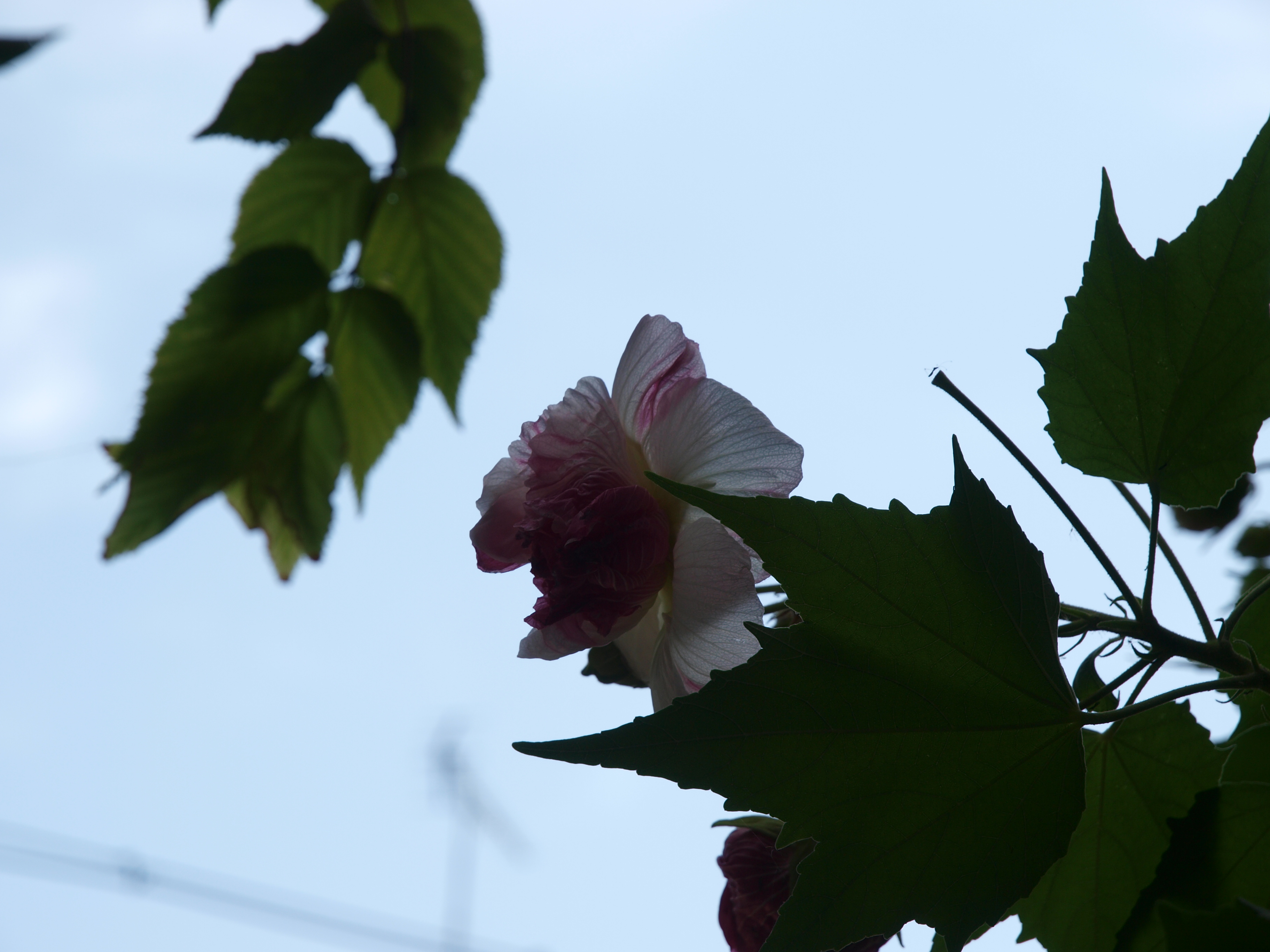P9274748.JPG