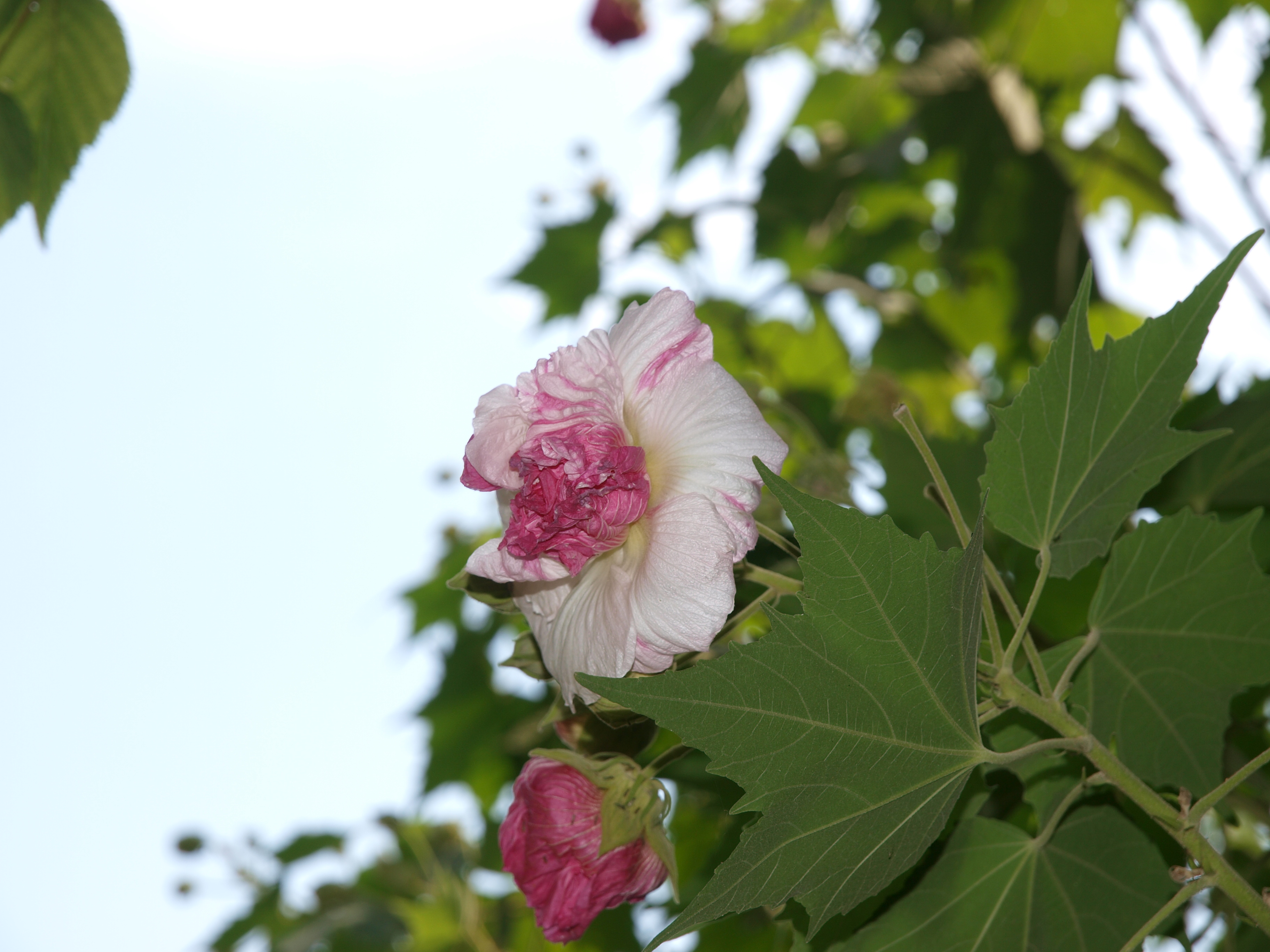P9274750.JPG