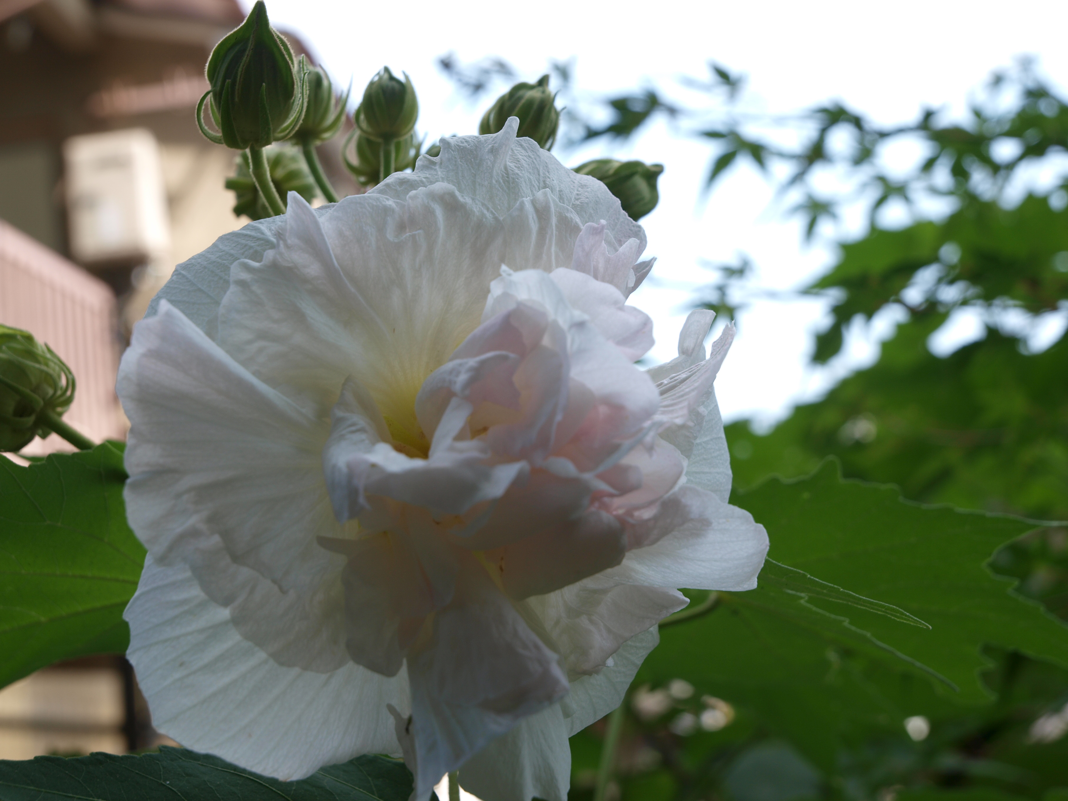 P9274754.JPG