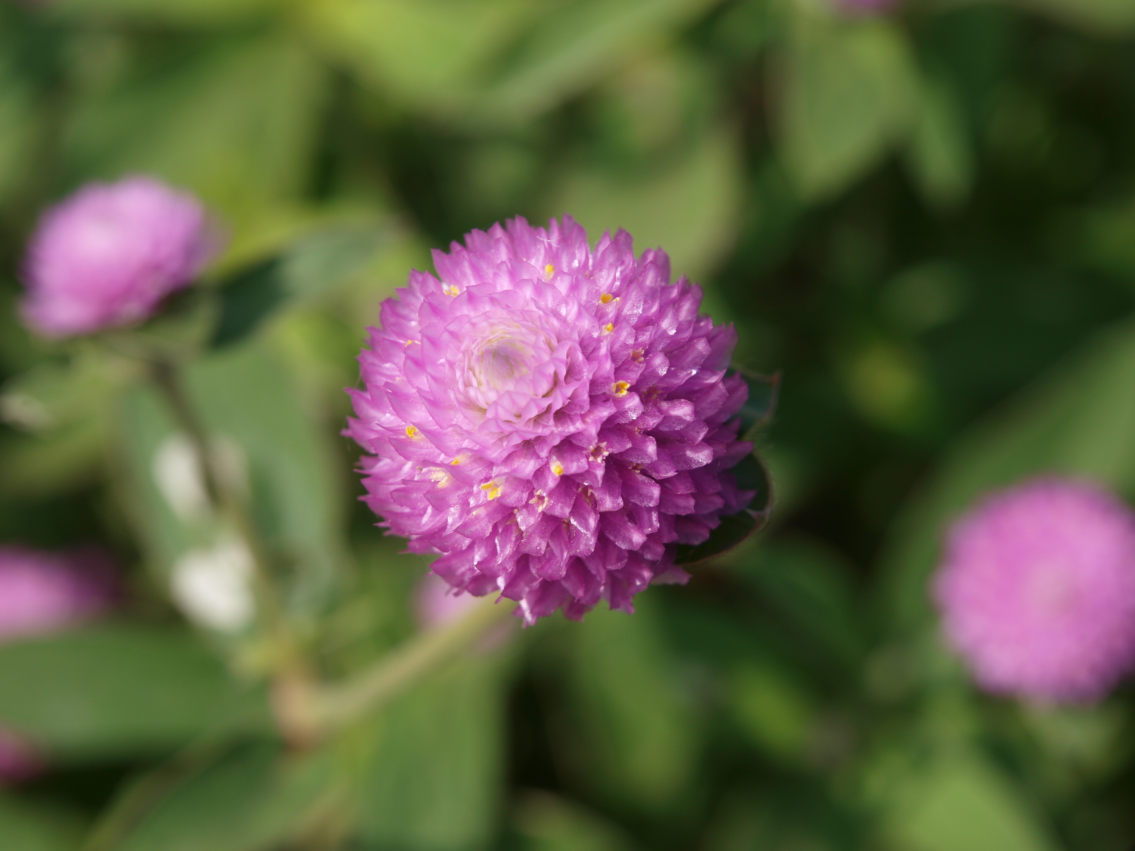 P9274760.JPG
