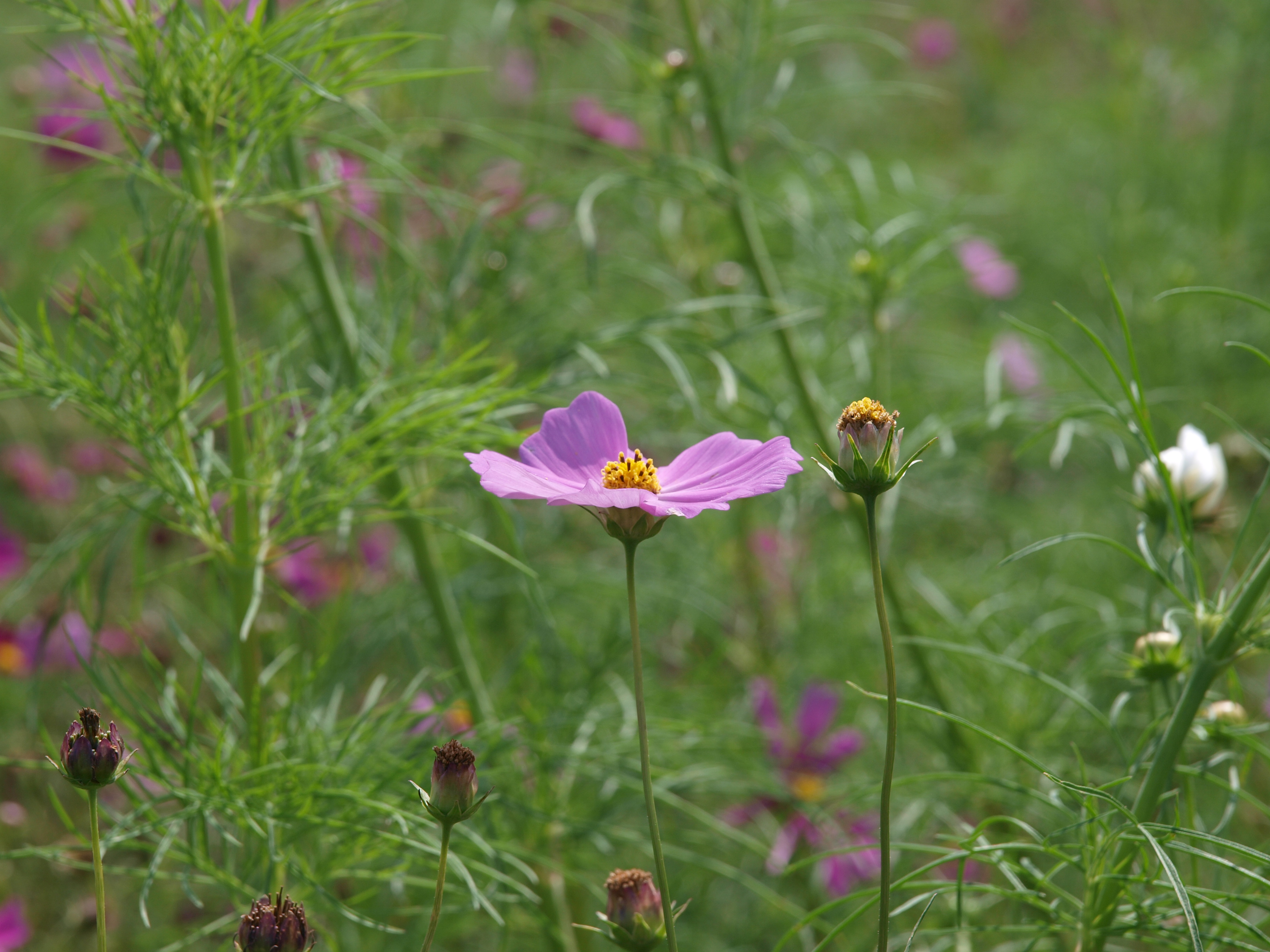 P9274761.JPG