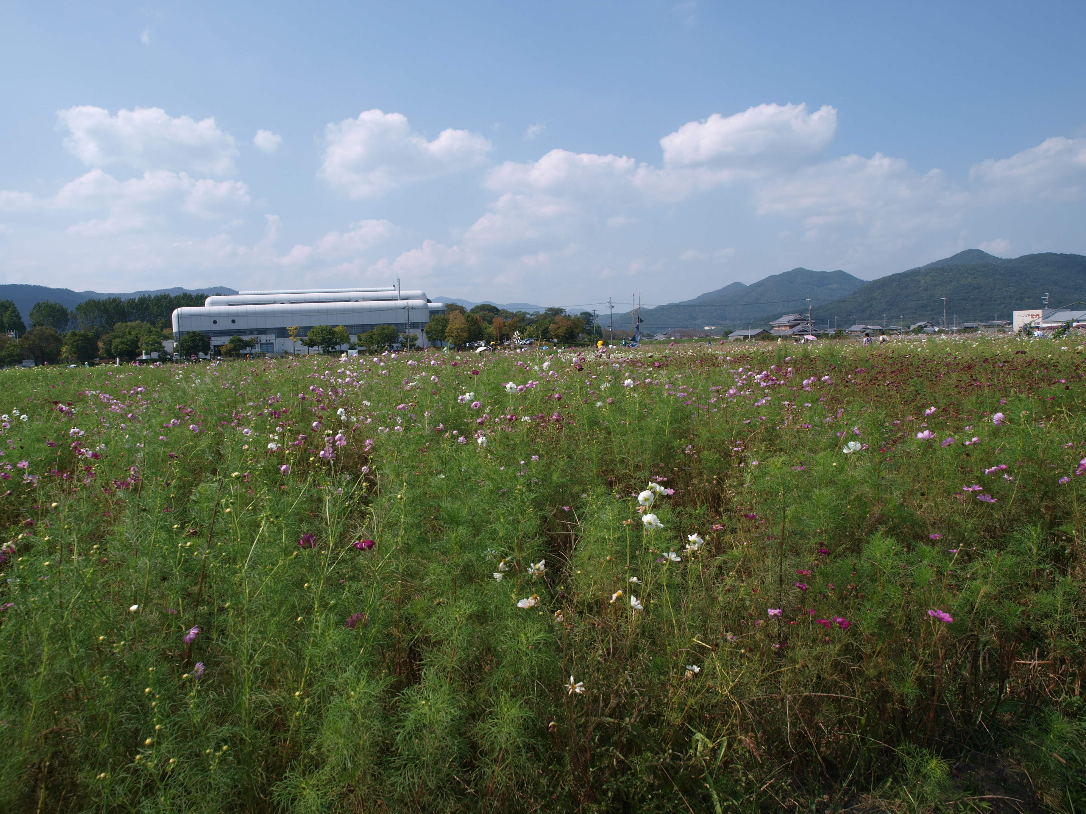 P9274765.JPG