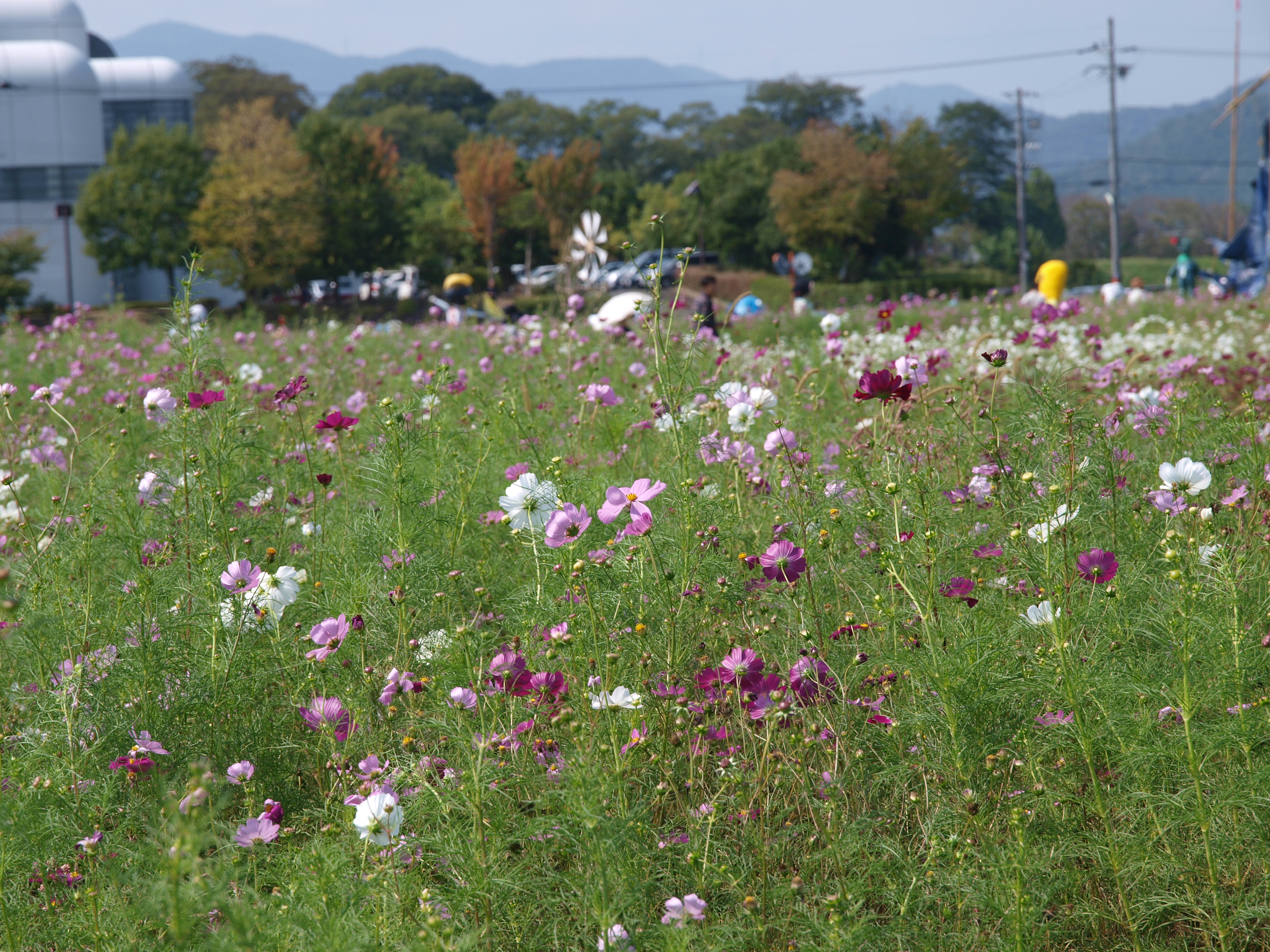 P9274767.JPG