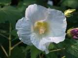 img0008.jpg