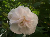 img0019.jpg