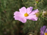img0024.jpg