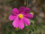 img0025.jpg