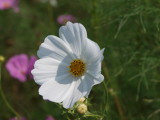 img0030.jpg
