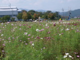 img0032.jpg