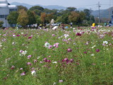 img0033.jpg