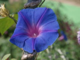 img0034.jpg