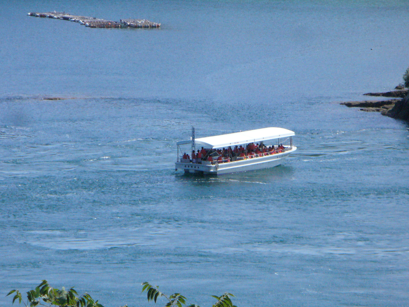 P1130084.JPG