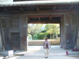 img0009.jpg