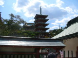 img0046.jpg