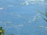 img0072.jpg