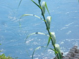 img0073.jpg