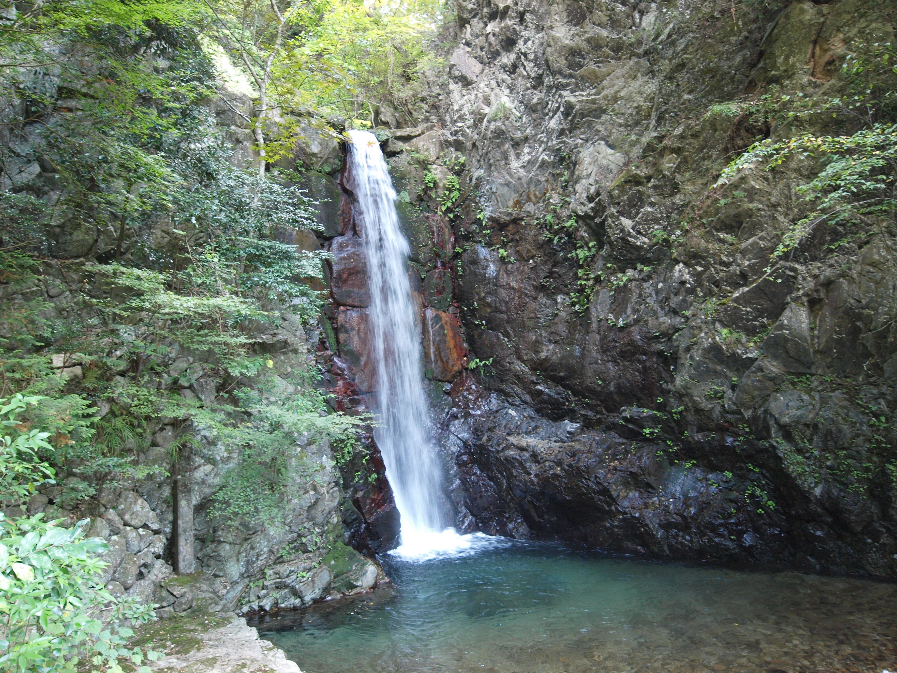 PA184817.JPG
