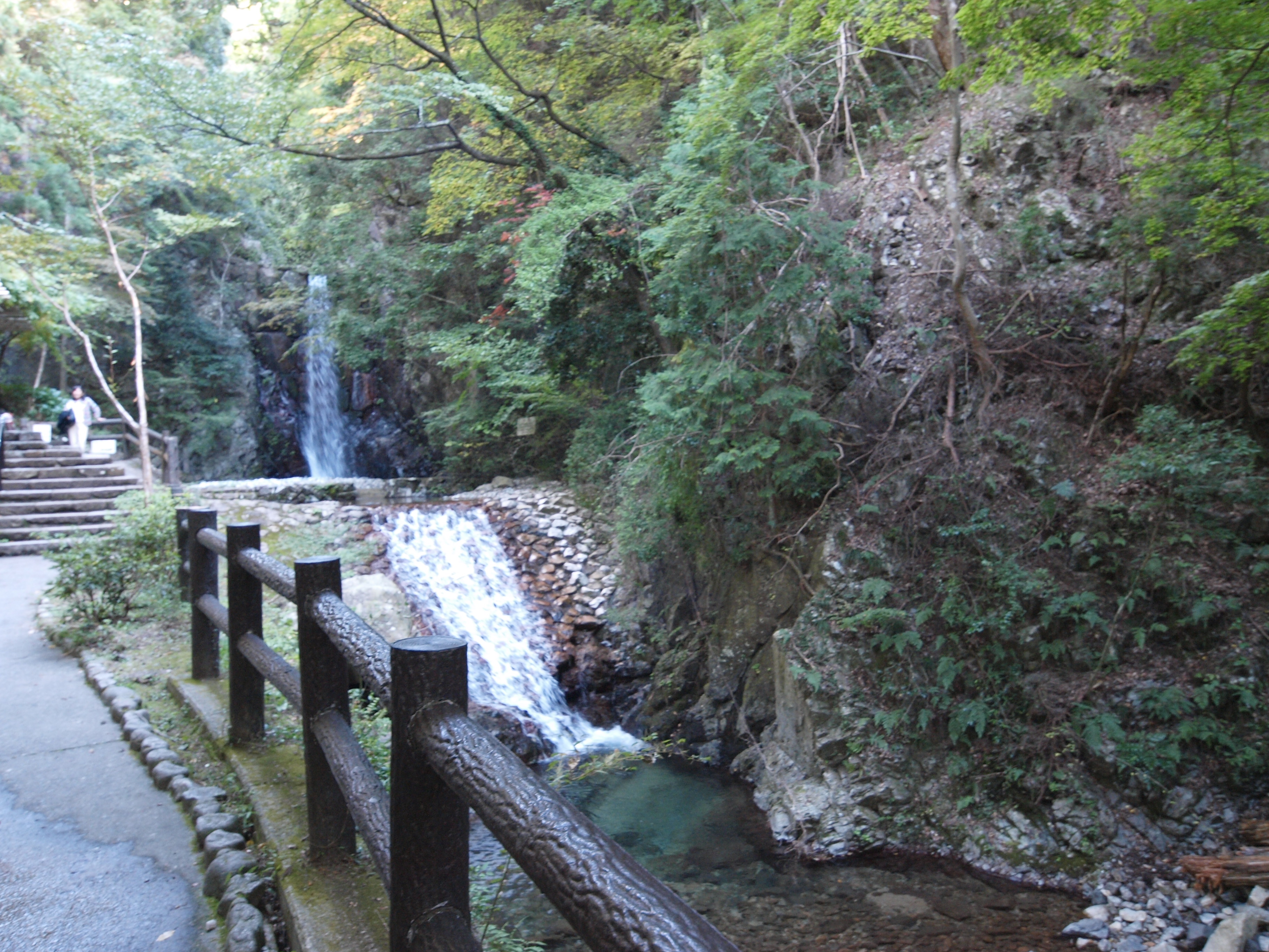 PA184821.JPG