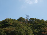 img0008.jpg