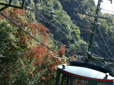 img0010.jpg