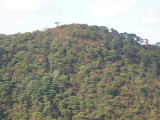 img0021.jpg