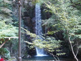 img0030.jpg