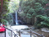 img0031.jpg
