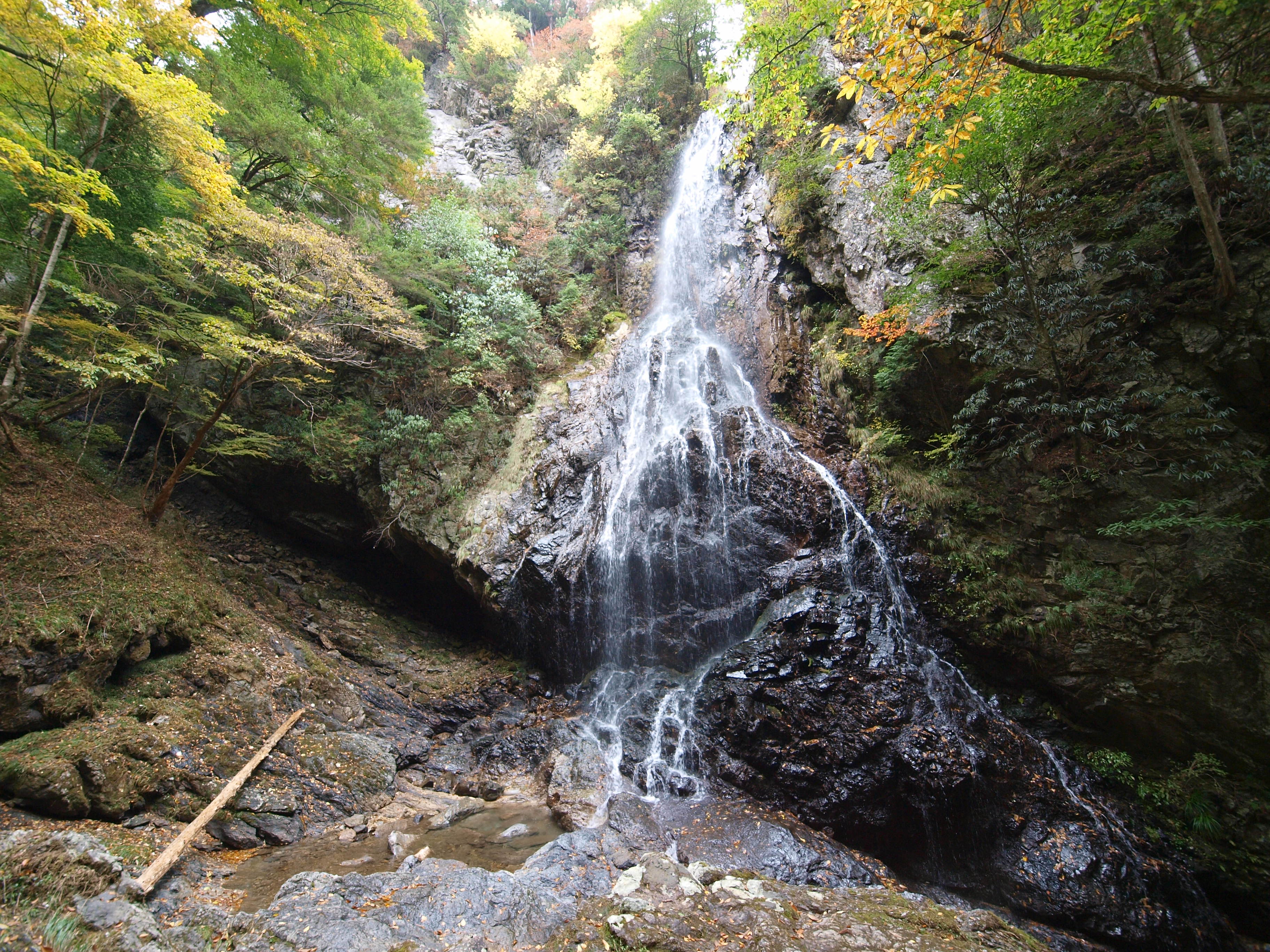 PA254824.JPG